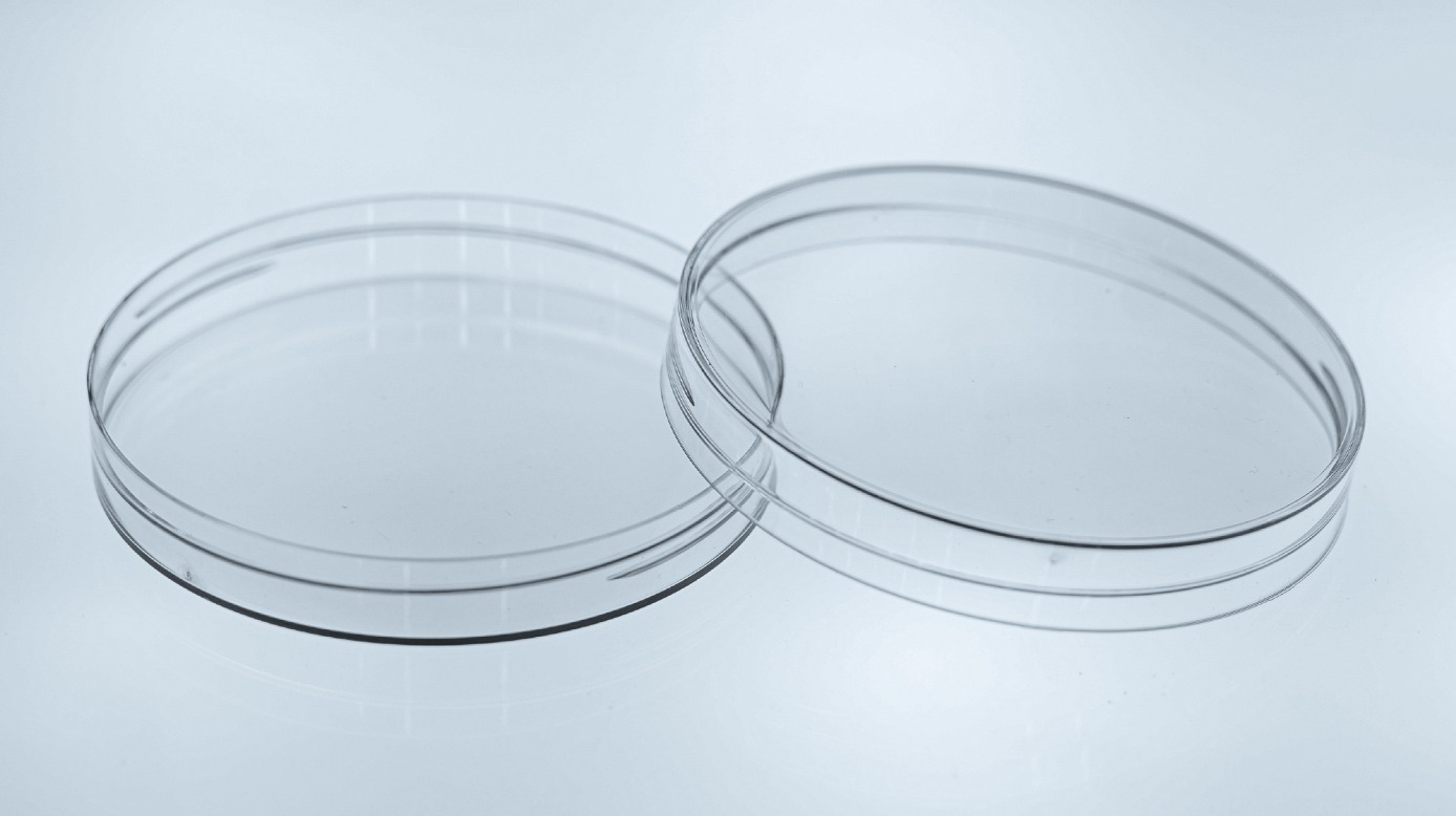 一出16水晶蓋（100口徑）